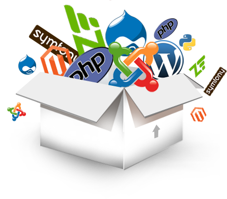 Web Design & Development